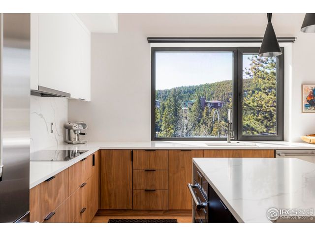 103 W Wildewood Dr, Nederland, CO 80466