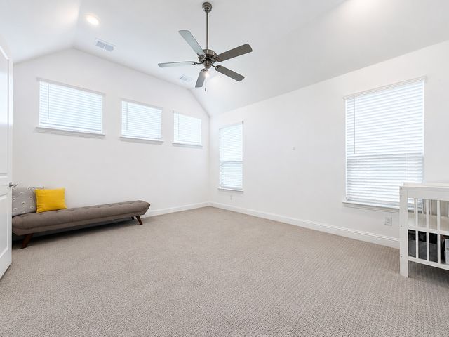 17293 Texas Pistache Drive, Dallas, TX 75252