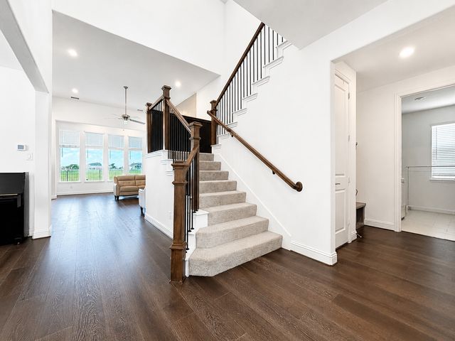 17293 Texas Pistache Drive, Dallas, TX 75252