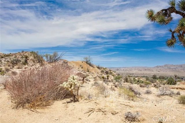 60300 Mountain, Joshua Tree, CA 92252