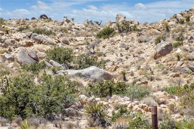 60300 Mountain, Joshua Tree, CA 92252