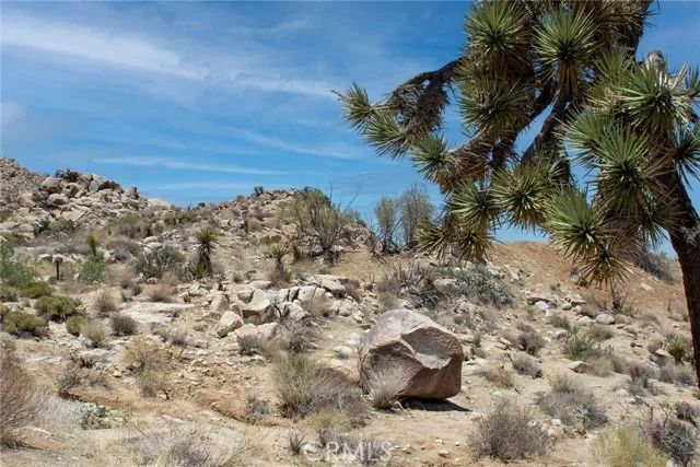 60300 Mountain, Joshua Tree, CA 92252
