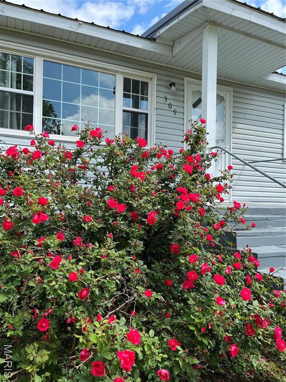 309 Central Avenue, Marble Hill, MO 63764