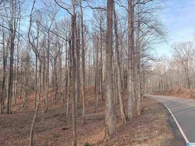000002 TRUMAN ALDRICH PARKWAY, West Blocton, AL 35184