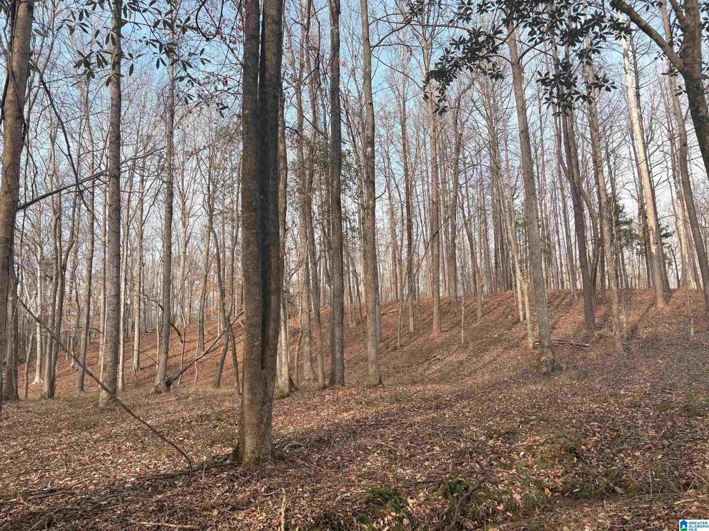 000002 TRUMAN ALDRICH PARKWAY, West Blocton, AL 35184