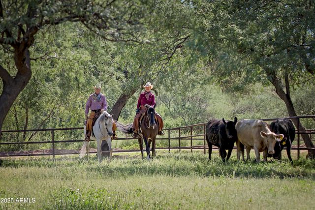 3155 W Elephant Head Road, Amado, AZ 85645