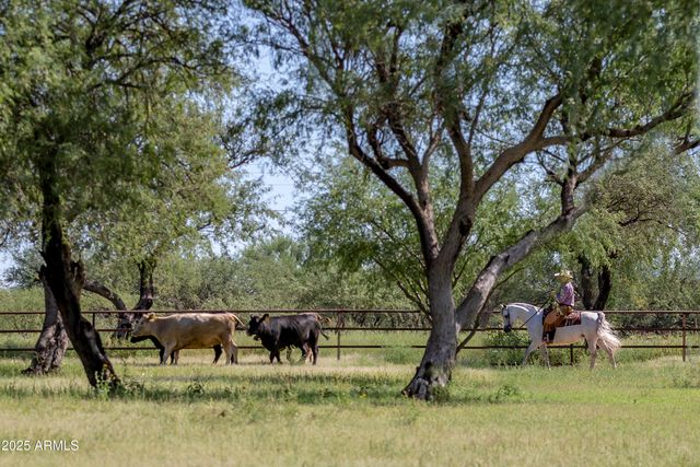 3155 W Elephant Head Road, Amado, AZ 85645