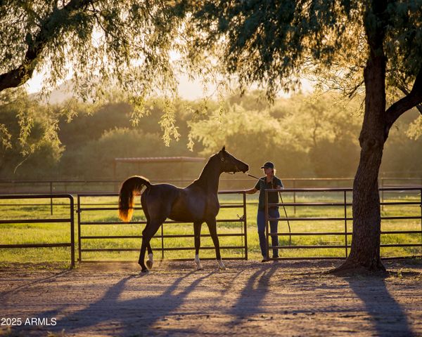 3155 W Elephant Head Road, Amado, AZ 85645