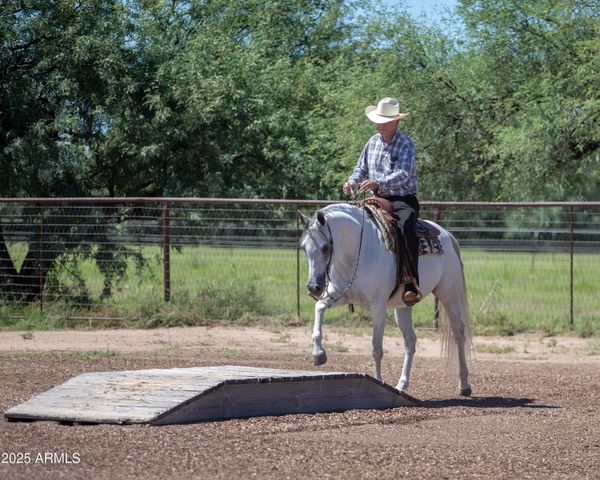 3155 W Elephant Head Road, Amado, AZ 85645