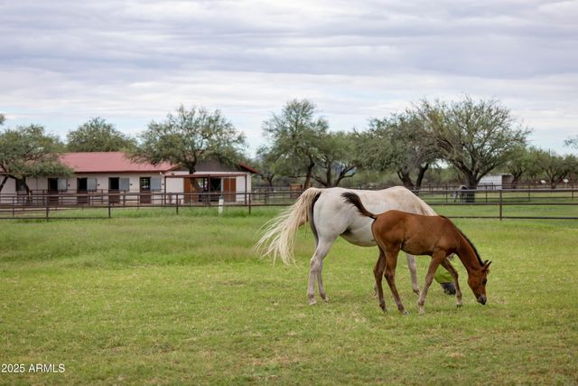 3155 W Elephant Head Road, Amado, AZ 85645