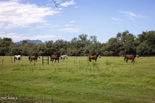 3155 W Elephant Head Road, Amado, AZ 85645