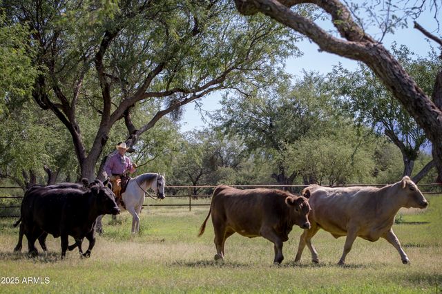 3155 W Elephant Head Road, Amado, AZ 85645