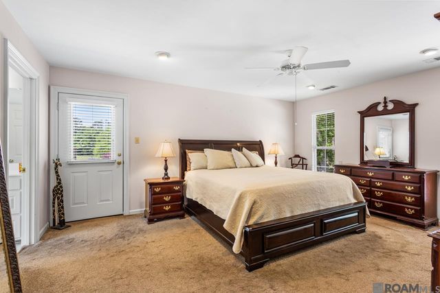 31719 River Pines Dr, Springfield, LA 70462