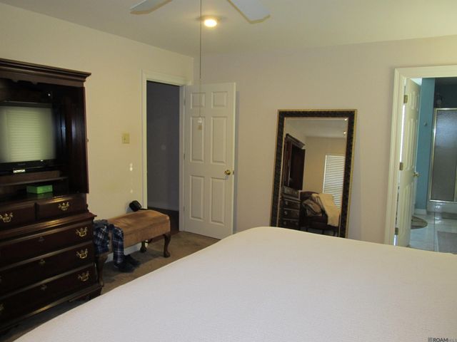 31719 River Pines Dr, Springfield, LA 70462