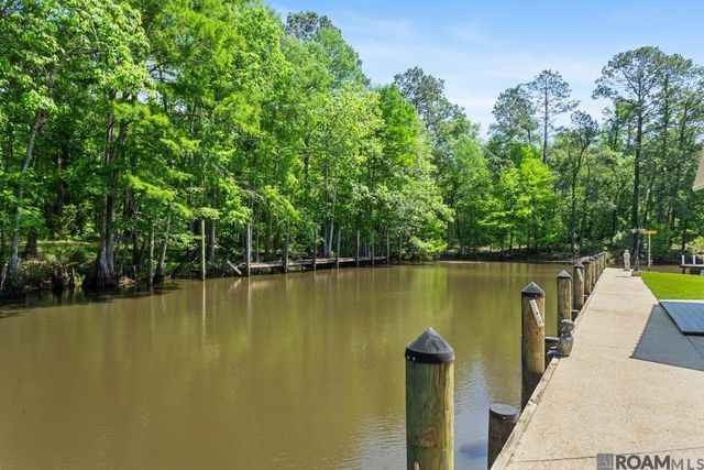 31719 River Pines Dr, Springfield, LA 70462