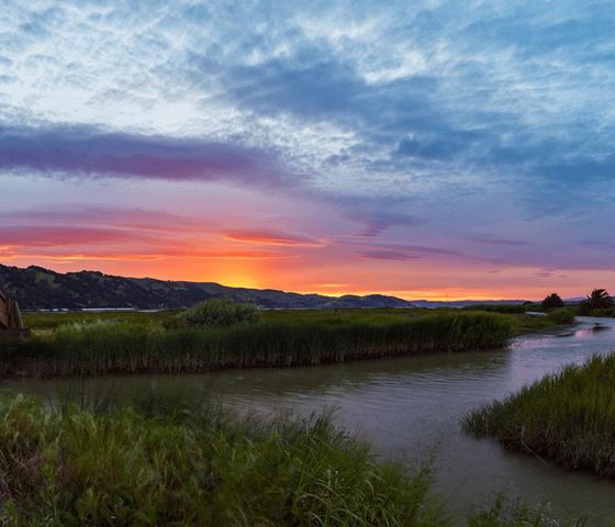 905 Tierney Place, Martinez, CA 94553