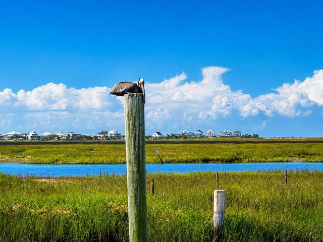151 Crooked Island Circle, Murrells Inlet, SC 29576