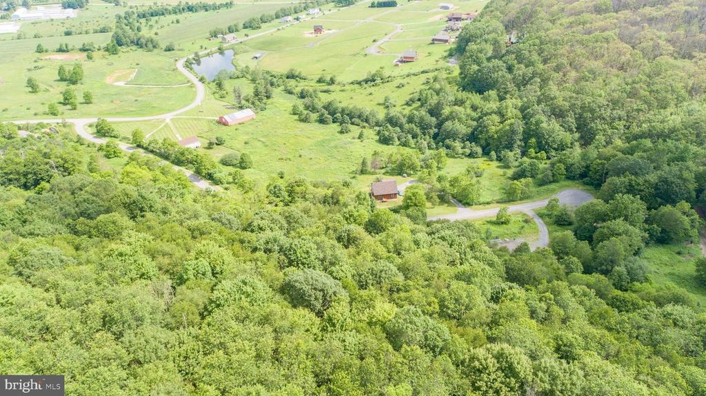 43 SMILEY FACE LN, Mc Henry, MD 21541
