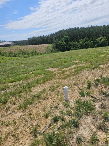250 Seiber Ridge Rd, Hohenwald, TN 38462