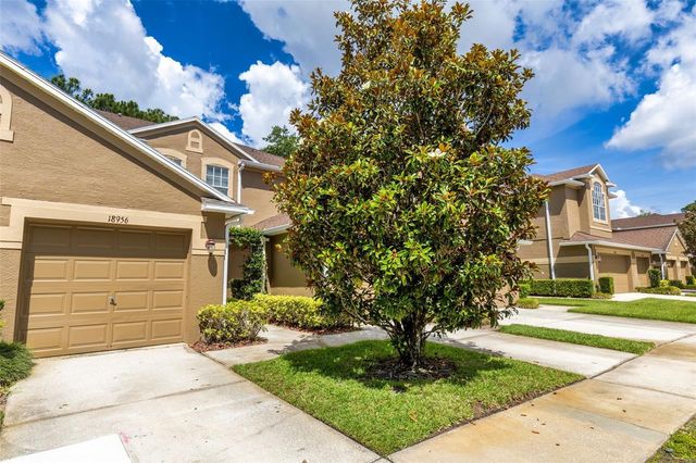 18958 DUQUESNE DRIVE, Tampa, FL 33647