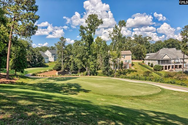 134 Fairway Ridge Drive, Chapin, SC 29036