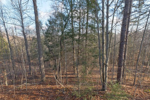 214 Lindsey Lane, Wellington, KY 40387