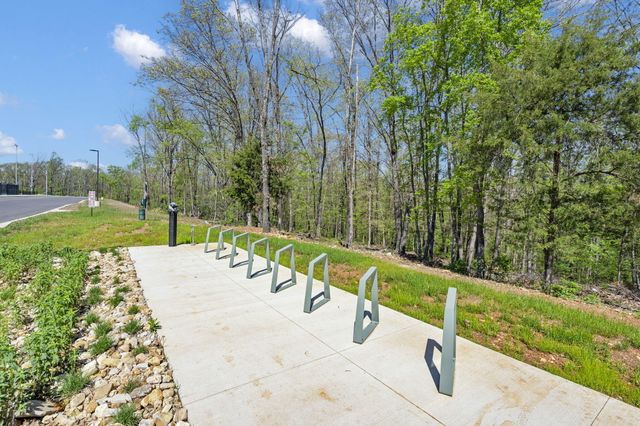 9 Buttonwood Drive, Kimberling City, MO 65686