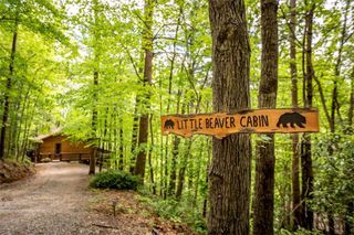 137 Little Beaver Drive, Cherry Log, GA 30522