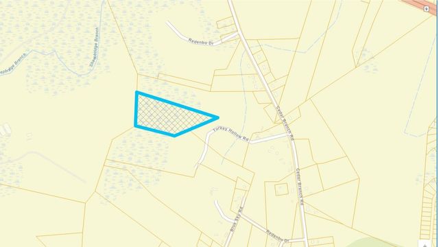 TBD1000 Turkey Hollow Rd, Loris, SC 29569