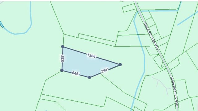 TBD1000 Turkey Hollow Rd, Loris, SC 29569