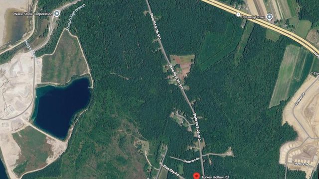 TBD1000 Turkey Hollow Rd, Loris, SC 29569