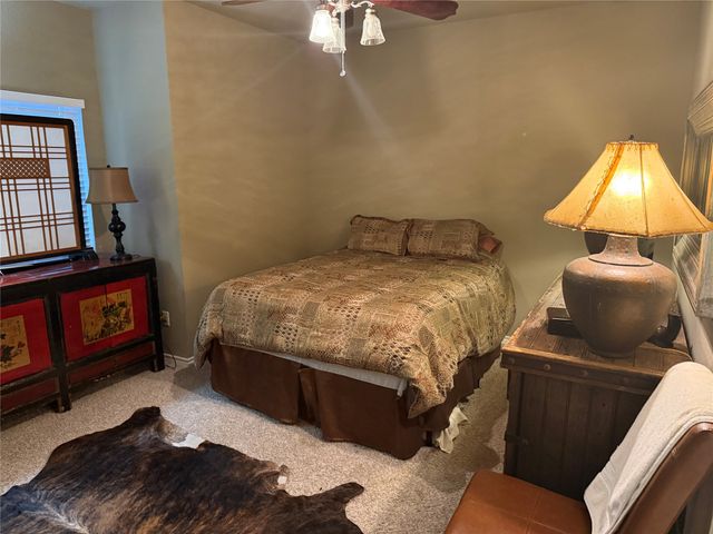 1203 Eagle Point, Graford, TX 76449