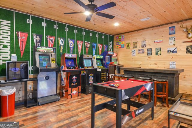 385 Shields Road, Mineral Bluff, GA 30559