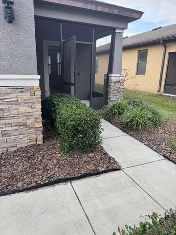 4517 PAPER MULBERRY PLACE, Riverview, FL 33578