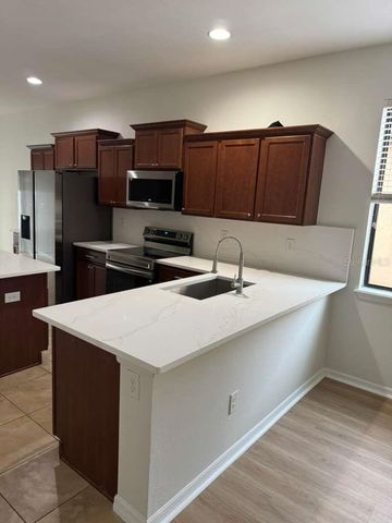 4517 PAPER MULBERRY PLACE, Riverview, FL 33578