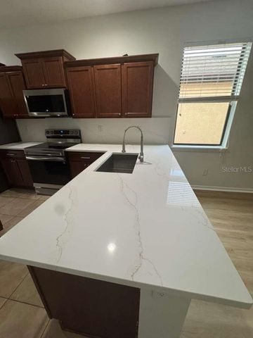 4517 PAPER MULBERRY PLACE, Riverview, FL 33578