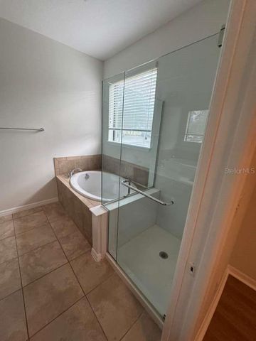 4517 PAPER MULBERRY PLACE, Riverview, FL 33578