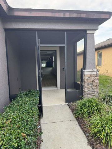 4517 PAPER MULBERRY PLACE, Riverview, FL 33578