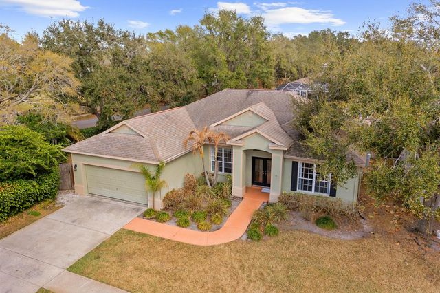 4302 RIVER CLOSE BOULEVARD, Valrico, FL 33596