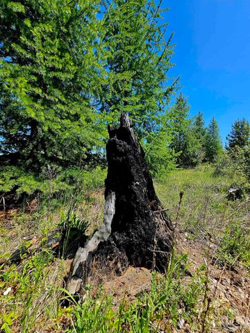 NNA Timberline Heights, Parcel 5, Weippe, ID 83553