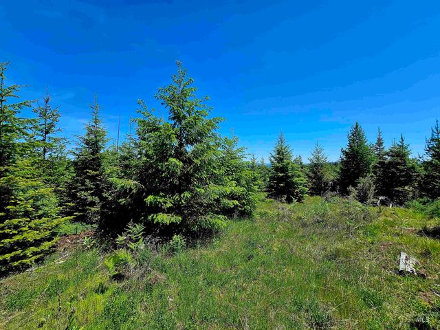 NNA Timberline Heights, Parcel 5, Weippe, ID 83553