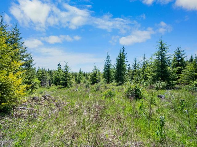 NNA Timberline Heights, Parcel 5, Weippe, ID 83553