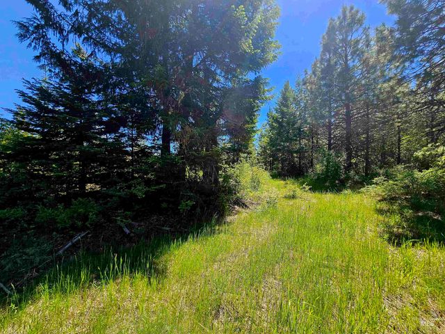 NNA Timberline Heights, Parcel 5, Weippe, ID 83553