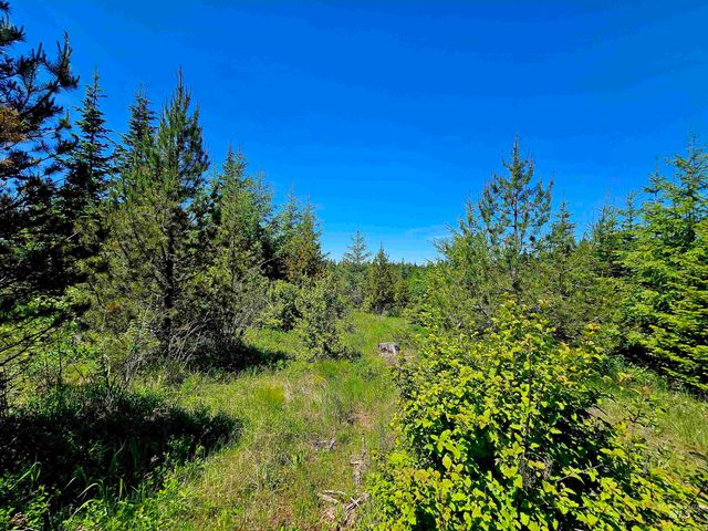 NNA Timberline Heights, Parcel 5, Weippe, ID 83553