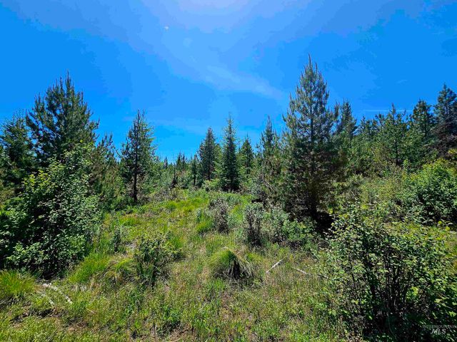 NNA Timberline Heights, Parcel 5, Weippe, ID 83553