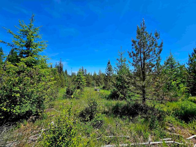 NNA Timberline Heights, Parcel 5, Weippe, ID 83553