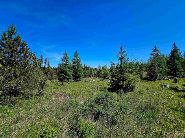 NNA Timberline Heights, Parcel 5, Weippe, ID 83553