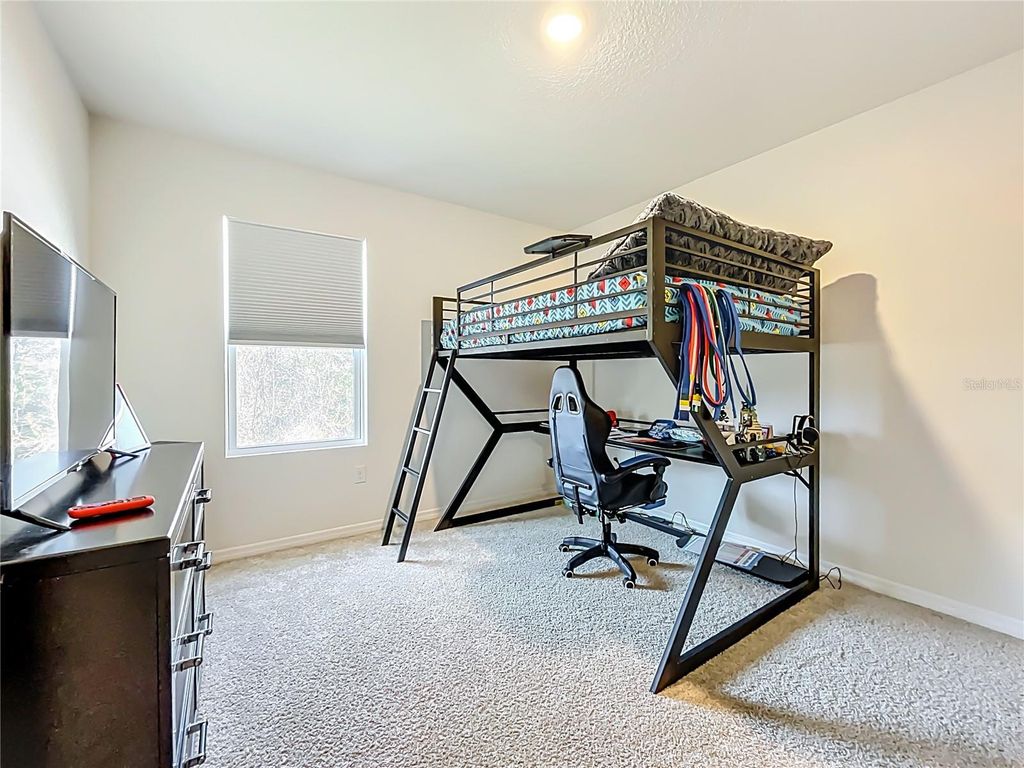 Image 17 of property listing at 3196 BLUE CRAB DRIVE, Tavares, FL 32778