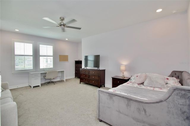 19825 CYPRESS BRIDGE DRIVE, Odessa, FL 33556