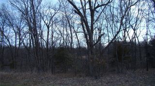 Woodman Drive, Odessa, MO 64076